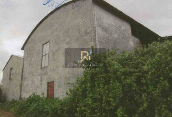 Photo 30