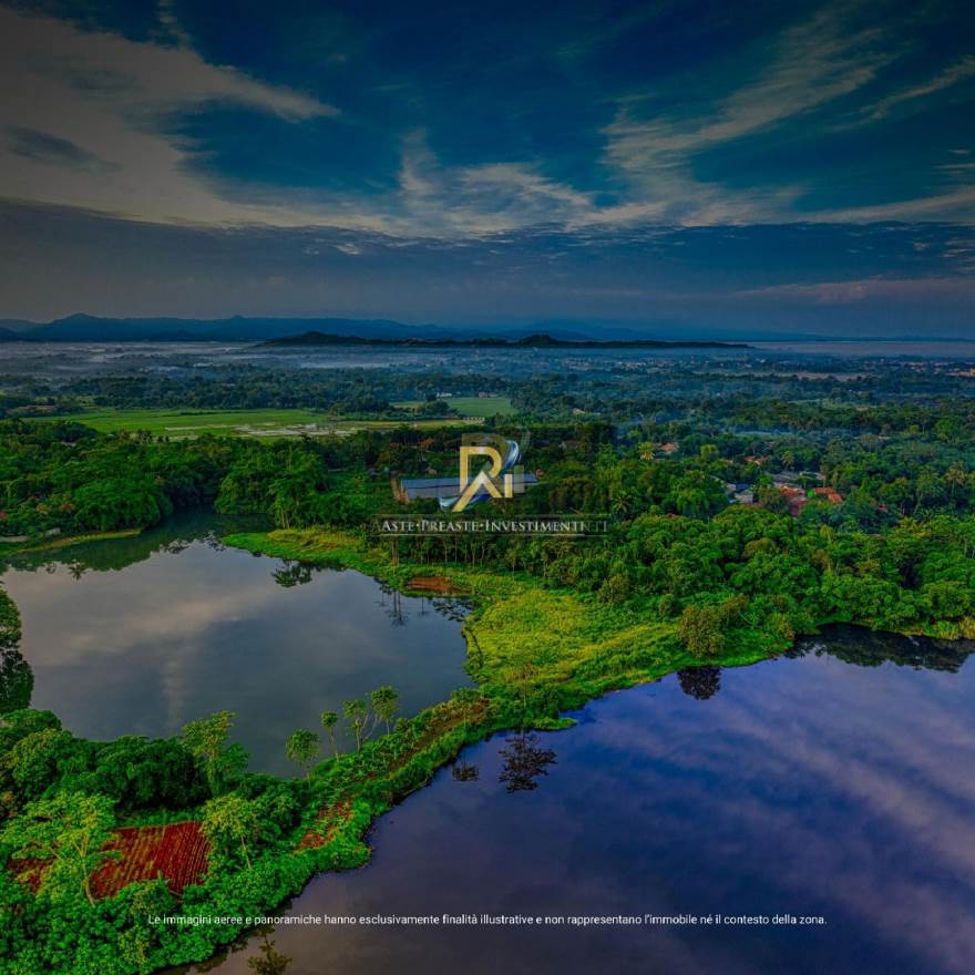 Photo 33